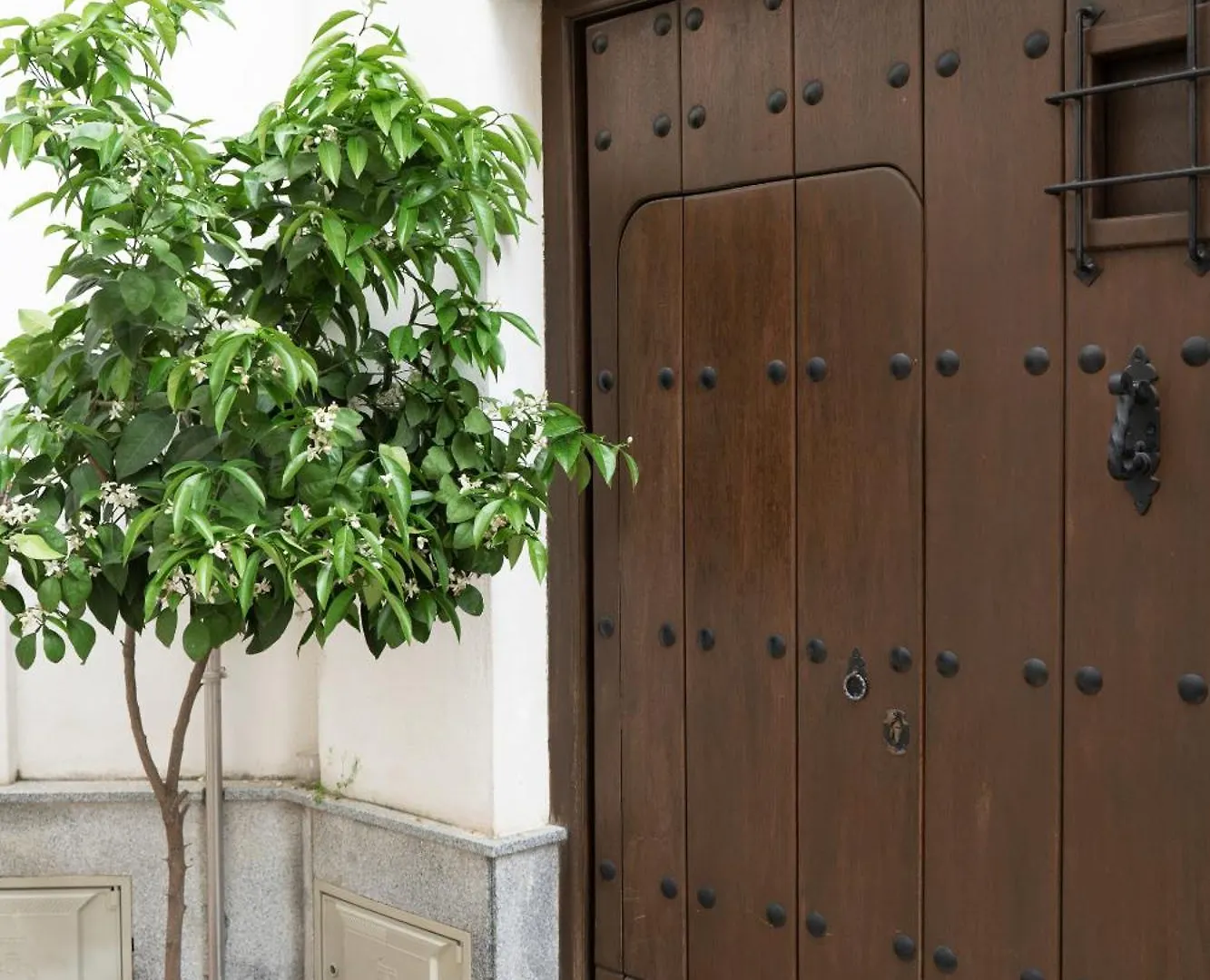 La Pimentera Rooms Cordoba Bed & Breakfast